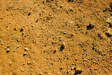 Desert sand as natural background.