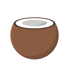 Coconut fruit vector illustration