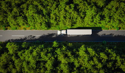 Heavy truck drives on a road that passes through a dense green and healthy forest - 3D illustration