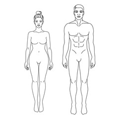 Man and Woman body front view vector illustration. Isolated outline line contour template human body different gender without clothes. Anatomy of healthy male and female body shapes. Figure