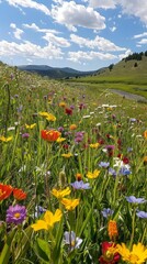 Fototapeta premium A field of vibrant wildflowers stretching to the horizon, a winding river cutting through, panoramic
