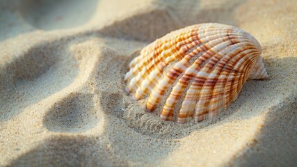 Capture the tranquility of an isolated seashell on soft sandy textures, offering peaceful serenity with ample copy space.