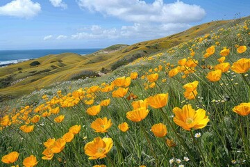 Fototapeta premium beautiful hills covered with wildflowers on a sunny day professional advertising food photography