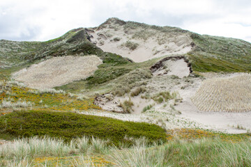 Sanddünen und Gräser im Naturschutzgebiet von Noordholland im  Molecaten Park Noordduinen