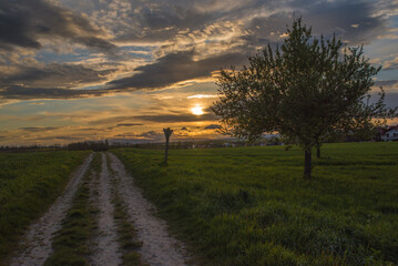 Die Sonne geht 