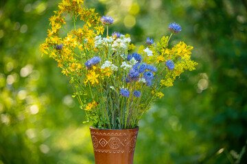 summer cute bouquet of wild flowers in the garden. bright sunny photo with a summer mood. St. John's wort plant and yarrow
