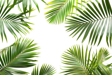 Green Palm Leaf Border Isolated on a Transparent Background