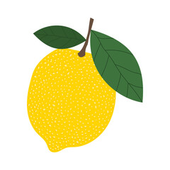 Lemon with yellow spotted texture and green leaves isolated on white. Vector.
