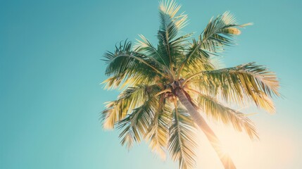 Tall green palm tree with sunlit leaves against a clear blue sky, representing tropical vacation and relaxation. Concept of summer, nature, and paradise.