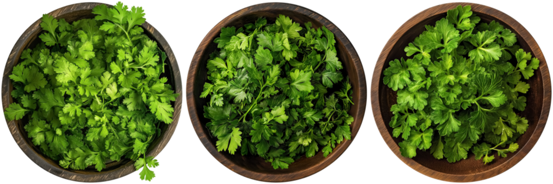 set of chervil parsley in brown wooden bowl, cut out