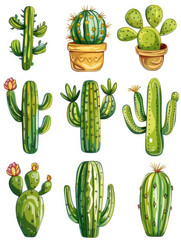 set of cactus plants