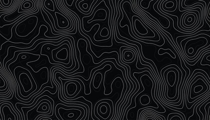 abstract Geographic backdrop and Geographic setting map contour vector design. topographic map. geography map contour background. 