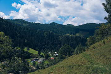 Mysticism and mystery of the Ukrainian Carpathian forest