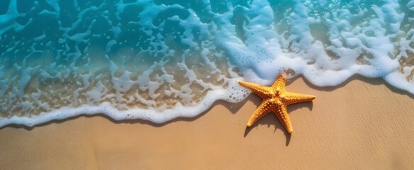 
A starfish rests on the sandy beach by the clear sea water. It's a sunny summer day, perfect for relaxing on the beach with plenty of space to enjoy.