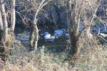 Parque Natural de Sierra Morena - Año 2015 - 8