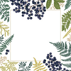 Square frame with leaves and blackberries. Vintage floral background.