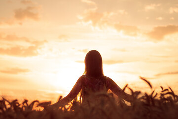 a woman seen from the back standing in a wheat field at sunset - Powered by Adobe