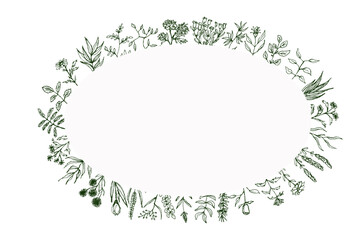 Oval floral green frame. Foliage Holiday card with empty space. Floral background, Universal template. Floral hand drawn outlined twigs branches, eco background.