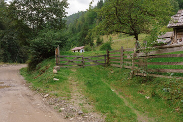 Mysticism and mystery of the Ukrainian Carpathian forest