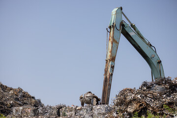 A large green excavator is digging into a pile of trash