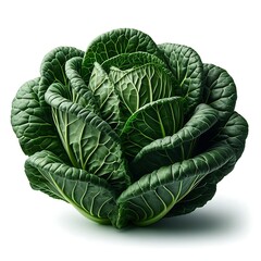 Obraz premium fresh butter head lettuce vegetable, isolated on white background