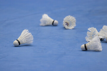 A group of badminton Shuttlecocks are scattered on a blue court. The Shuttlecocks are laying on the...