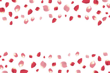 falling rose petals border frame transparent background
