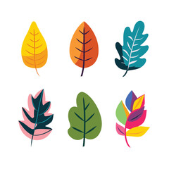 Six vibrant leaves vector illustration isolated white background. Different shapes colors flat design foliage natural elements. Autumn creative decorative leaf collection graphic resource