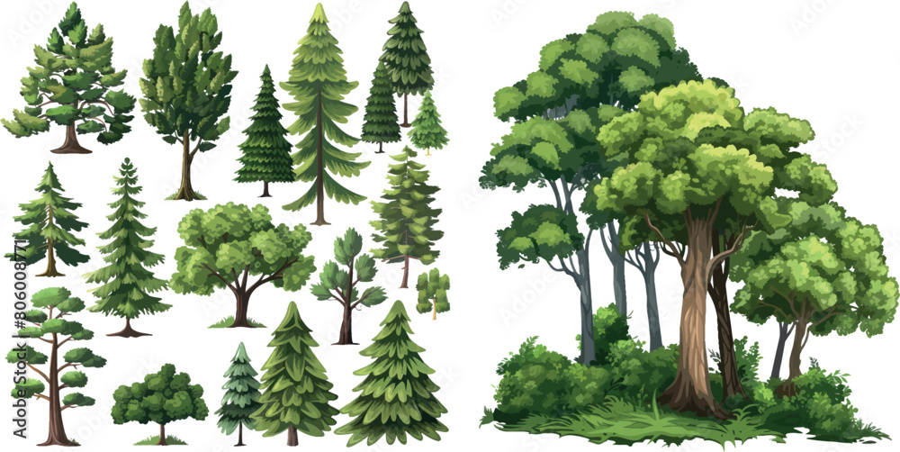 Poster forest trees isolated