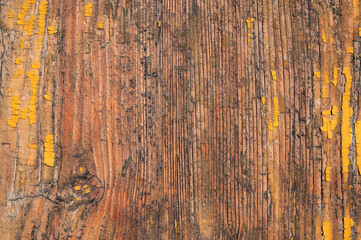 Old wood texture. on ancient door.