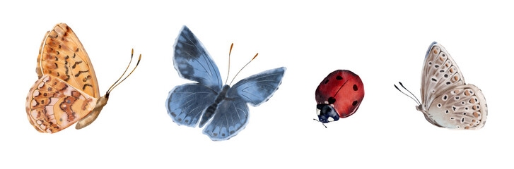 Watercolor Illustration Set with Butterflies and Ladybug.