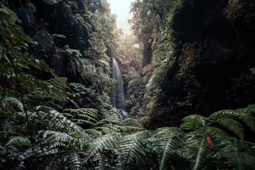 Cascada de los tilos, La Palma