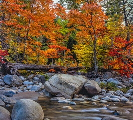 Autumn on the swift river