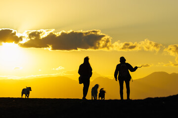 夕日が沈む中、犬と散歩する人