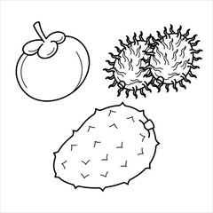 Cartoon Exotic Tropical Fruit Line Art