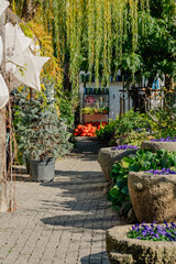 A cobblestone path leads through a quaint garden, adorned with star-shaped lanterns and lush planters. The scene is a harmonious blend of horticulture and rustic charm.