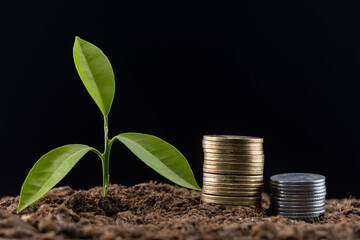Growing plant money coin stack, business finance, and saving money investment.