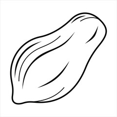 Cartoon Exotic Tropical Fruit Line Art