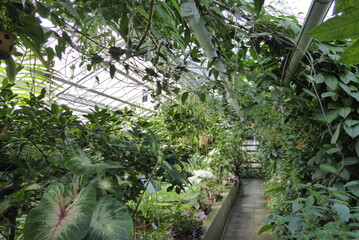 Tropenhaus Botanischer Garten Potsdam