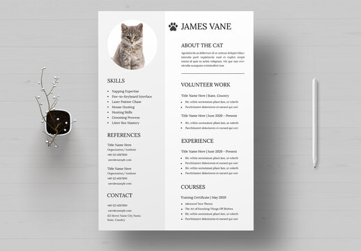 Cat Resume Template