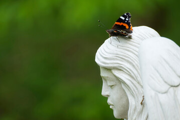 Red admiral butterfly (Vanessa Atalanta) sitting on white statue in Zurich, Switzerland