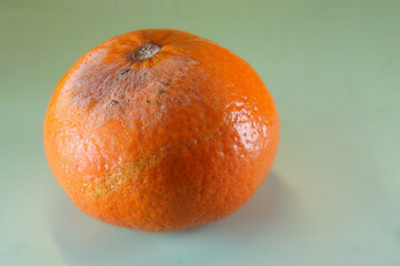 Mandarine