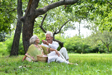 Fototapeta premium Portrait of a beautiful elderly couple in summer park