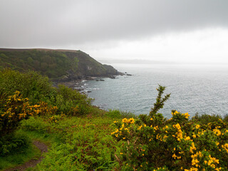 Misty and Rainy Cornish Seascape.
