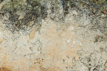 Cracked Earth Texture Close-Up Warm Tones