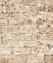 Textured Limestone Wall Front View Sepia Tone