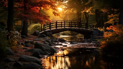 Landscape in a park with a bridge in autumn