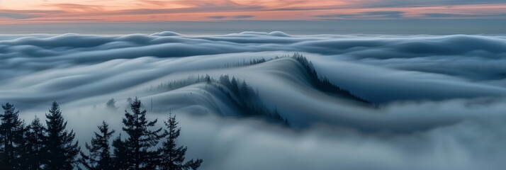 Long exposure of swirling fog among fir trees, with a subdued retro color scheme