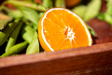 Vivid hues of an orange fruit slice left to naturally dry under the sun warm glow, accompanied by a soft bokeh of green leaves in the background, capturing citrus production and organic living.