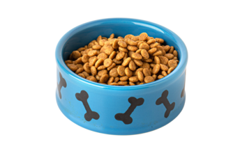 The pet bowl is isolated